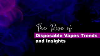 Pocket-Sized Vaporizers for Everyday Use