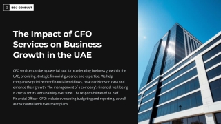 The Impact of CFO Services on Business Growth in the UAE