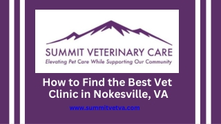 How to Find the Best Vet Clinic in Nokesville, VA