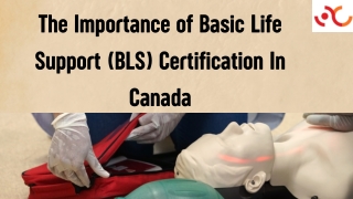 The Importance of Basic Life Support (BLS) Certification In Canada