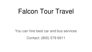 Falcon Tour Travel Charter Bus Rental Party Bus Rental Party Bus Rental