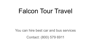Falcon Tour Travel Charter Bus Rental Party Bus Rental