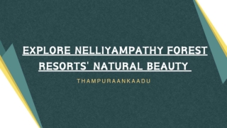 _Explore Nelliyampathy Forest Resorts' Natural Beauty 0