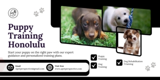 Puppy Training Honolulu