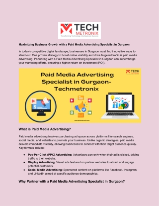 Paid Media Advertising Specialist in Gurgaon - Techmetronix