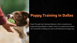Puppy Training in Dallas