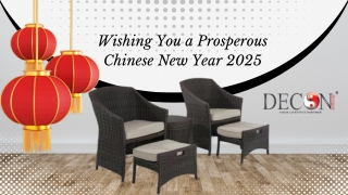 Wishing You a Prosperous Chinese New Year 2025