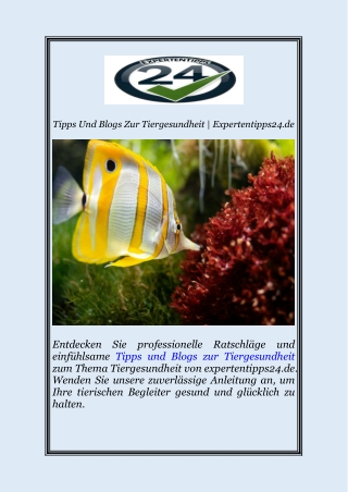 Tipps Und Blogs Zur Tiergesundheit | Expertentipps24.de