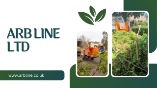 ARBLineLTD