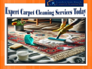 Expert Carpet Cleaning Services Today