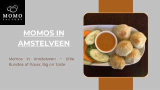 Momos in Amstelveen – A Bite of Himalayan Delight | Momo Factory