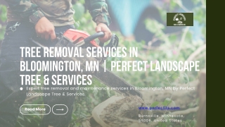 Tree Removal Services in Bloomington, MN  Perfect Landscape Tree & Services