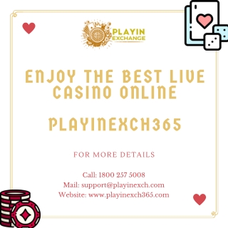 Enjoy The Best Live Casino Online  - PlayinExch365
