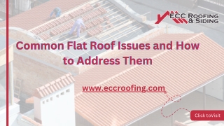 Common Flat Roof Issues and How to Address Them