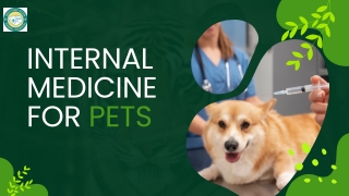 Internal Medicine for Pets: Keeping Your Pets Healthy