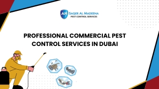Professional Commercial Pest Control Services in Dubai
