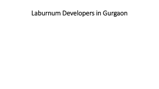 Laburnum Developers in Gurgaon (1)