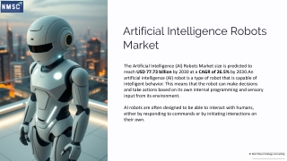 Artificial Intelligence Robots Market Growth and Opportunities