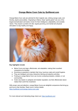 Orange maine coon cats by quilltenet