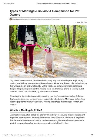 Types of Martingale Collars: A Comparison for Pet Owners