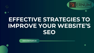 EFFECTIVE STRATEGIES TO IMPROVE YOUR WEBSITE’S SEO