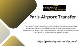 Paris Disney Taxi