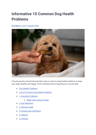 Informative 10 Common Dog Health Problems