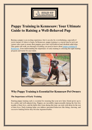 Puppy Training in Kennesaw Your Ultimate Guide to Raising a Well-Behaved Pup