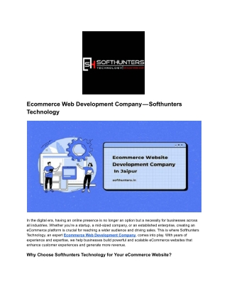 Ecommerce Web Development Company (1)