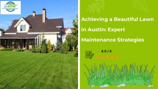 Achieving a Beautiful Lawn in Austin Expert Maintenance Strategies