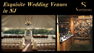 Outdoor Wedding Venues in New Jersey