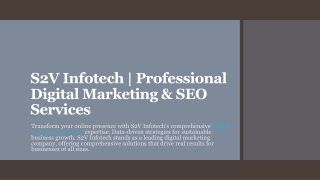 S2V Infotech | Professional Digital Marketing & SEO Services