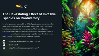 The Devastating Effect of Invasive Species on Biodiversity