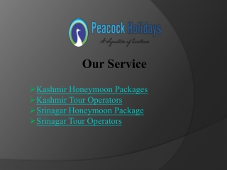 Kashmir Tour Opertor For Best Kashmir Tour Packages
