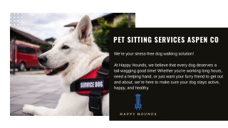 Pet Sitting Services Aspen CO