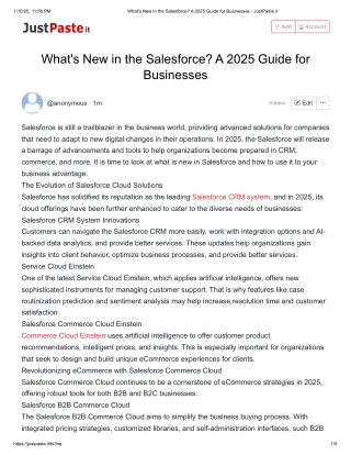 What's New in the Salesforce_ A 2025 Guide for Businesses
