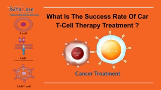 What Is The Success Rate Of Car T-Cell Therapy Treatment