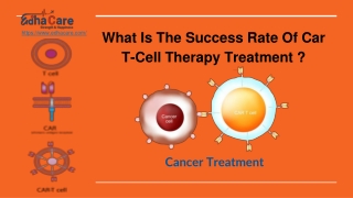 What Is The Success Rate Of Car T-Cell Therapy Treatment