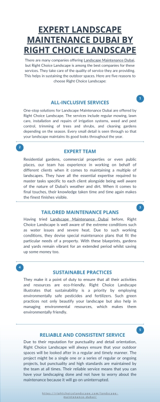 Expert Landscape Maintenance Dubai by Right Choice Landscape