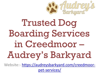 Trusted Dog Boarding Services in Creedmoor – Audrey’s Barkyard