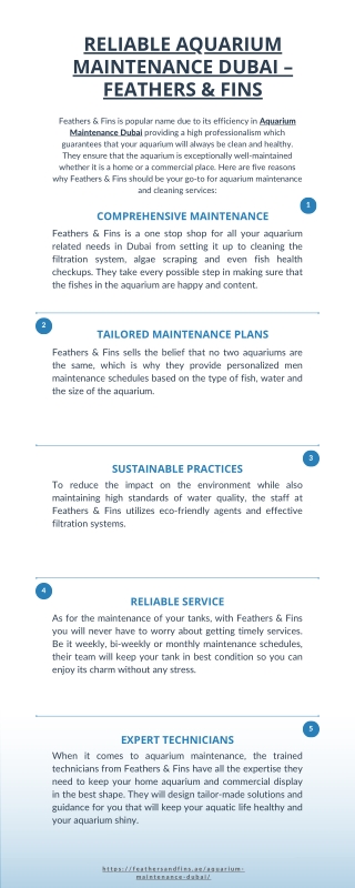 Reliable Aquarium Maintenance Dubai – Feathers & Fins