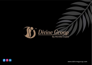 Ddivine Group