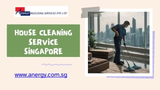 House Cleaning Service Singapore - anergy.com.sg