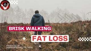ppt for brisk walking (1)