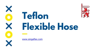 Teflon Flexible Hose - www.singaflex