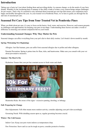 Seasonal Pet Care Tips from Your Trusted Vet in Pembroke Pines