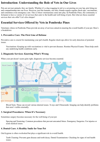 Essential Services Offered by Vets in Pembroke Pines