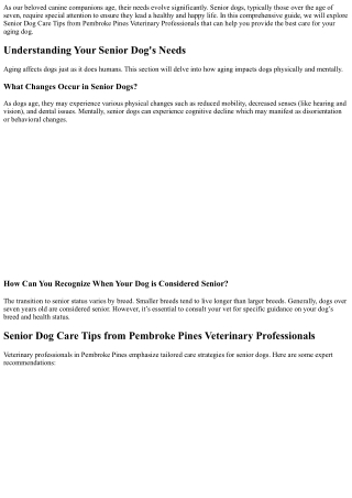 Senior Dog Care Tips from Pembroke Pines Veterinary Professionals