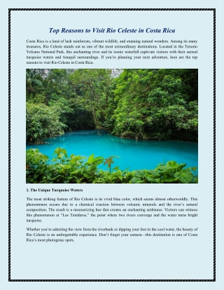 Top Reasons to Visit Rio Celeste in Costa Rica