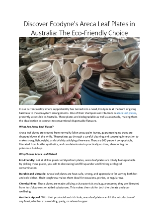 Choose Ecodyne for the Best Eco-Friendly Plates in Australia